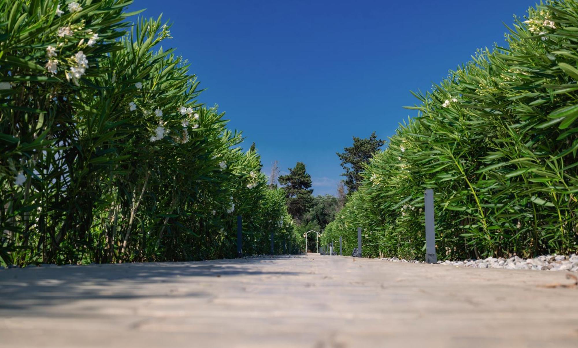 פרבזה Theluxuryvillas מראה חיצוני תמונה