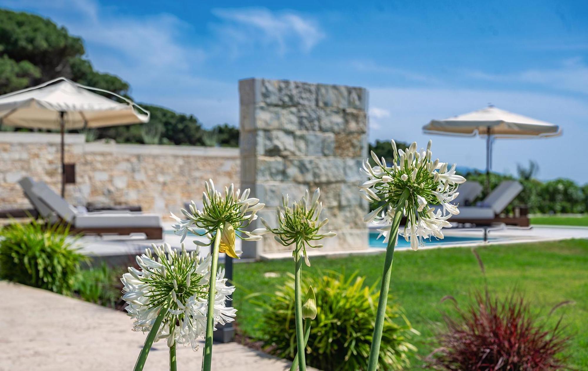 פרבזה Theluxuryvillas מראה חיצוני תמונה