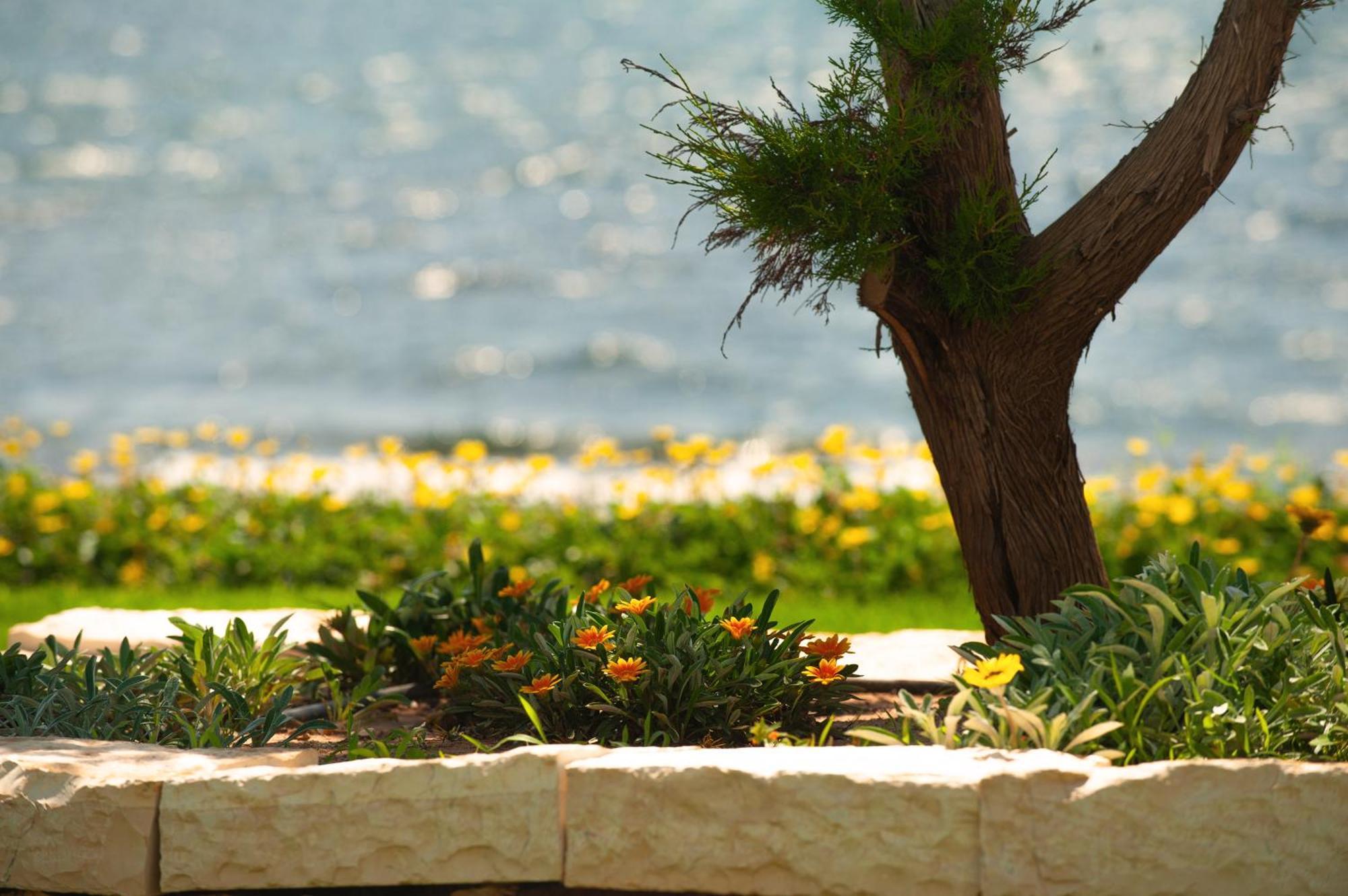 פרבזה Theluxuryvillas מראה חיצוני תמונה